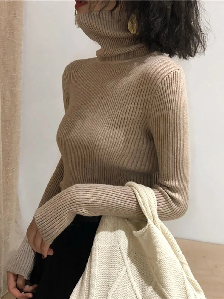 Women's Slim Fit Turtleneck Knit Jumper