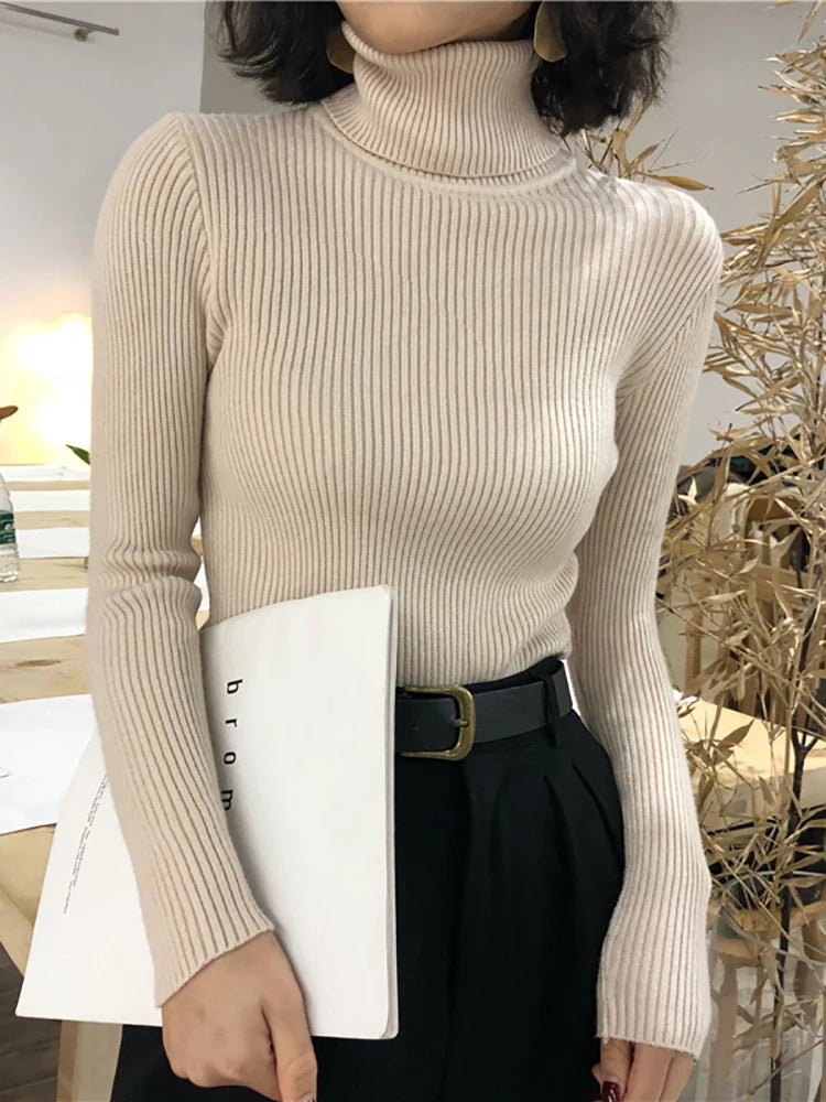 Women's Slim Fit Turtleneck Knit Jumper