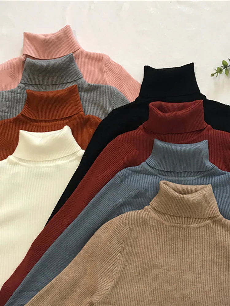 Women's Slim Fit Turtleneck Knit Jumper