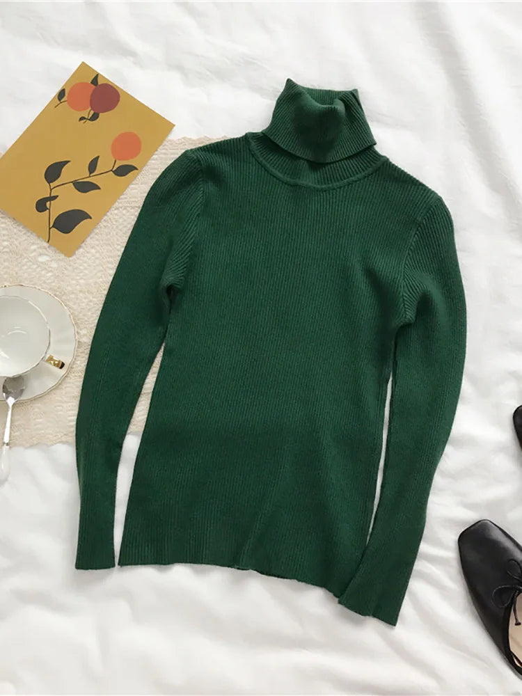 Women's Slim Fit Turtleneck Knit Jumper