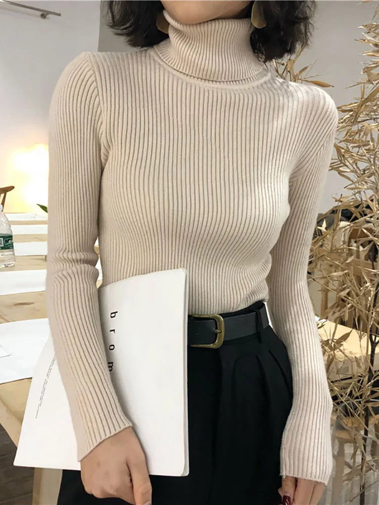 Women's Slim Fit Turtleneck Knit Jumper