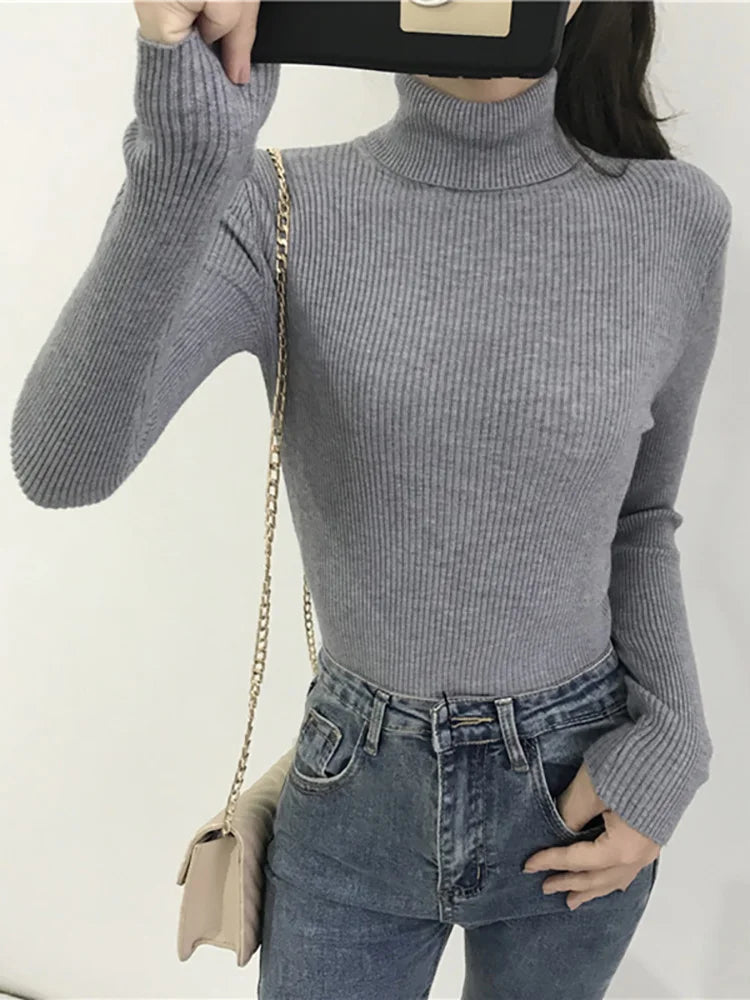 Women's Slim Fit Turtleneck Knit Jumper