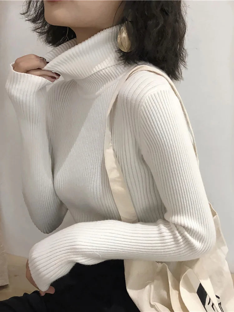 Women's Slim Fit Turtleneck Knit Jumper