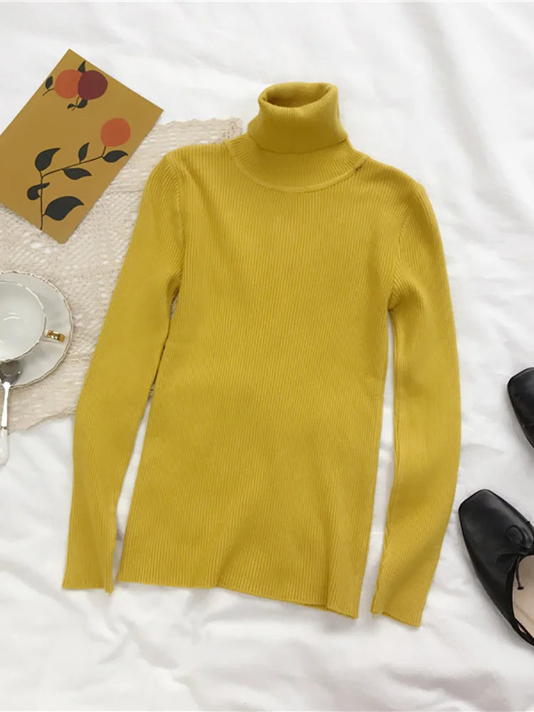 Women's Slim Fit Turtleneck Knit Jumper