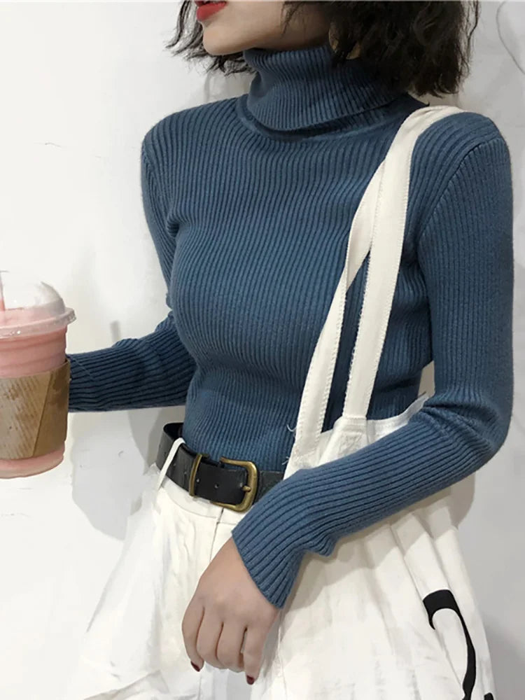 Women's Slim Fit Turtleneck Knit Jumper