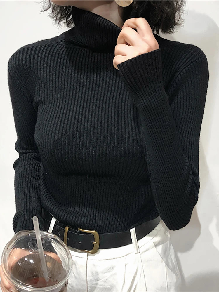 Women's Slim Fit Turtleneck Knit Jumper